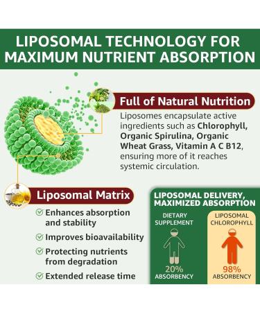 Organic Chlorophyll Liquid Drops Liposomal for Women & Men 6-in-1 Greens Superfood Vegan Chlorophyll w/Spirulina Wheat Grass Vitamin C B12 A for Internal Deodorant* Energy Digestive 1Packs/2 Fl Oz 2 Fl Oz (Pack of 1) - Buy Online on GoSupps.com
