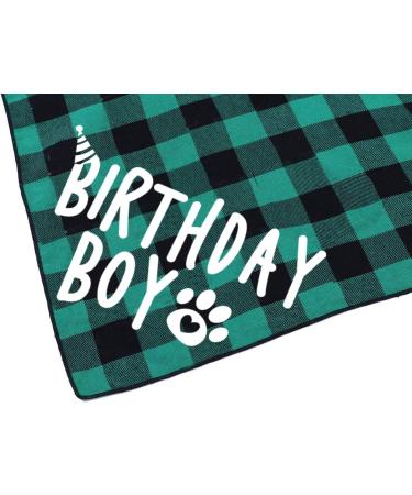 Green Birthday Boy Dog Bandana - Cute and Colorful Pet Accessory - Buy Online on GoSupps.com