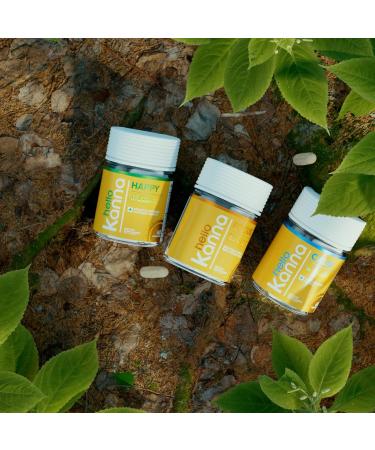 Hello Focus - Premium Cognitive Support Supplement - with Kanna Lion s Mane Bacopa & Ginkgo - Non-GMO Vegan Capsules - Supports Mental Clarity Focus and Daily Cognitive Performance - 60 Count - Buy Online on GoSupps.com