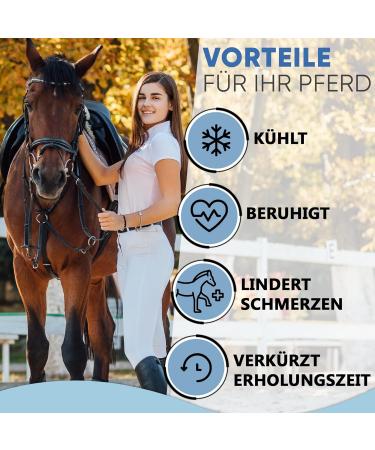 IceHOF Cooling Gaiters for Horses - Firm Hold Washable with Removable Cooling Packs - Protective Cooling Straps (1 Piece) - Buy Online on GoSupps.com