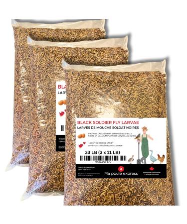 Ma Poule Express - Dried mealworms Economic Alternative - Dried Black Soldier Fly Larvae - 11 lb (5 kg) (33 lb (15 kg) 3 Bags) 5 kg (Pack of 3)