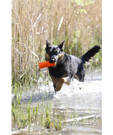 Buy Julius-K9 Aqua Food Dummie - Red Zip Floats - 20 cm | International Shipping - Buy Online on GoSupps.com