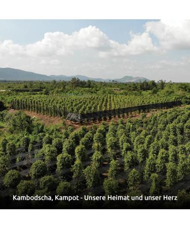 .pepper..field Black Kampot Pepper 50g - Black Pepper Grain - Real Black Pepper from Kampot Cambodia PGI - Whole Black Peppe - Buy Online on GoSupps.com