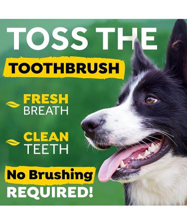 TropiClean Fresh Breath Oral Care Water Additive for Dogs - 33.8 fl oz - Dog Breath Freshener - Plaque & Tartar Defense - No Toothbrush Needed - Buy Online on GoSupps.com