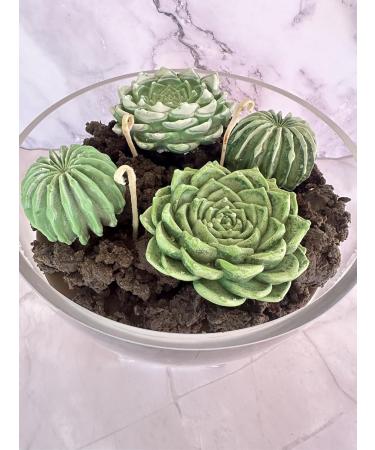 Buy Succulent Candle Centerpiece - Green | Shop Internationally at Your Store Name - Buy Online on GoSupps.com