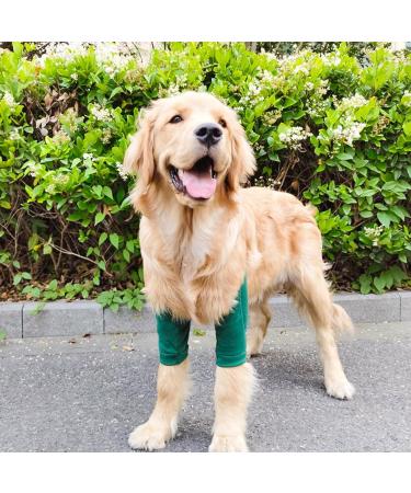 Pet Leg Wound Protector Soft Padded 1 Pair Adjustable Dog Front Leg Cuff for Small Dogs (L) - Buy Online on GoSupps.com
