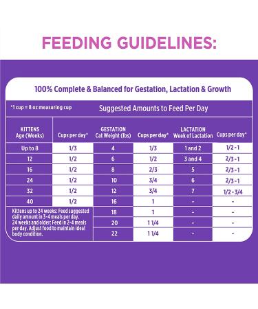 IAMS Proactive Health Kitten Dry Cat Food Chicken Recipe 3.5 lb - Pack of 1 - Buy Online on GoSupps.com