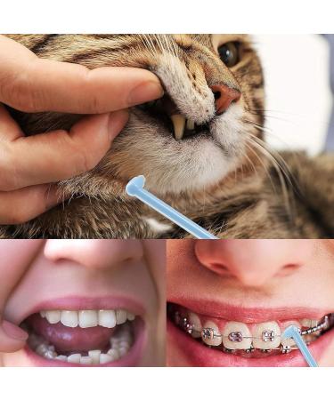 6 Pack Soft Tufted Toothbrush for Orthodontics - Raven Inserted Design | Gentle Cleaning & Individual Tooth Spacing - Buy Online on GoSupps.com