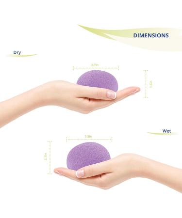 Freed Blue Pre-Moistened Konjac Sponge 2 Pack - Organic, Chemical Free Cleansing and Exfoliation - Assorted Colors - Buy Online on GoSupps.com
