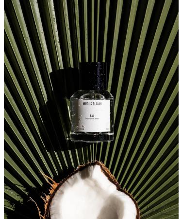 EAU Perfume Unisex Eau de Parfum for Men & Women Fresh Tropical & Woody Eau de Parfum with Exotic Coconut Creamy Fruit & Warm Woody Undertones Travel Ready Unisex Cologne 1.7 Fl Oz 50ml - Buy Online on GoSupps.com