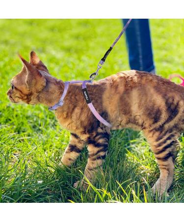 TIESOME Cat Harness and Leash Set Adjustable Gradient Kitten Harness Escape Proof Harness with Leash for Kitty Outdoor Walking (Gradient Purple) - Buy Online on GoSupps.com
