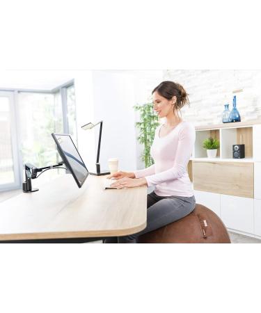 Buy NOVUS Pila Design Seat Ball - 70 cm Brown Imitation Leather Vintage Look | International Shipping - Buy Online on GoSupps.com