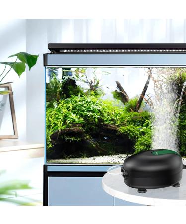 Buy AQQA Ultra Quiet 2.5W Aquarium Air Pump - Adjustable Oxygen Pump with Double Outlet Valve for Optimal Fish Tank Aeration - Buy Online on GoSupps.com