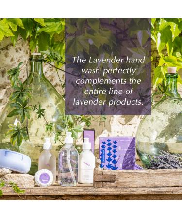 Provence Sante Lavender Liquid Soap - 16.9 oz Bottle - Buy Online on GoSupps.com