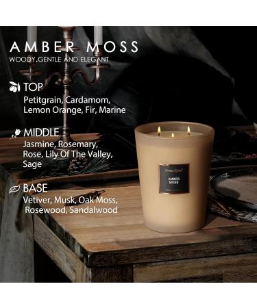 HomeLights Scented Candles | Large Jar Aromatherapy Natural Soy Wax 130 Hours Burn Time Perfect Gift - Amber Moss - Buy Online on GoSupps.com
