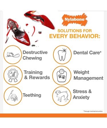 Nylabone Power Chew Chicken Dental Chew Toy Medium - for Dogs up to 16kg - Buy Online on GoSupps.com