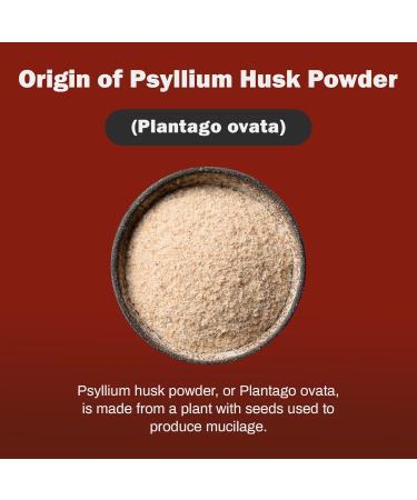 Psyllium Husk Powder - Bulk-Forming Laxative - Promotes Regular Bowel Movements - Improves Digestion 1kg 2.2 Pound (Pack of 1) - Buy Online on GoSupps.com