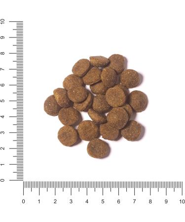 The Hunger of the Wolf Grain-Free Adult Dog Food - Salmon & Potatoes for All Breeds - 14 kg | Ideal for Dogs with Allergies - Buy Online on GoSupps.com