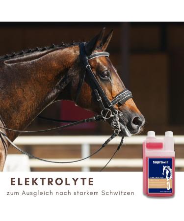 Supravit Electrolytes for Horses | 1000ml Dosing Bottle | Supports Hydration & Recovery from Sweating Diarrhea & Electrolyte Loss - Shop Internationally - Buy Online on GoSupps.com