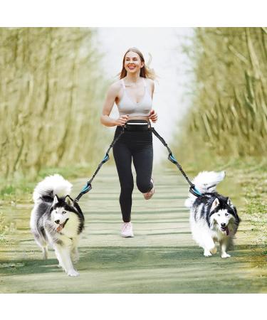 Uppetly Hands Free Dog Running Leash with Adjustable Waist Belt Dual Handle Elastic Bungees Retractable Rope for Medium and Large Dogs Reflective Stitches for Walking Hiking Biking With Pouch for 2 dogs - Buy Online on GoSupps.com