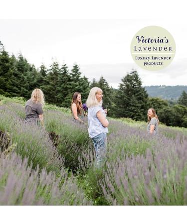 Lavender Essential Oil Reed Diffuser Refill | Natural Aromatherapy for Home & SPA | 8oz | Up to 1 Year Supply by Victoria's Lavender - Buy Online on GoSupps.com