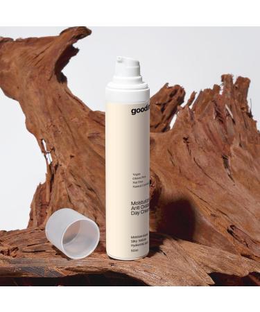 Good Intent Moisturizing Anti Oxidant Day Cream - Skin Moisturizer Hydrating for Dry Mature Skin Gluten Free Nut Free Natural Certified Ingredients Organic Skincare - Buy Online on GoSupps.com