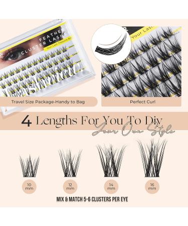 LASHVIEW DIY Cluster Lash Extensions for Self-Application - 48 Pcs, 3D Rapid Soft and Lightweight, Style D10 Mix (10/12/14/16mm) - Buy Online on GoSupps.com
