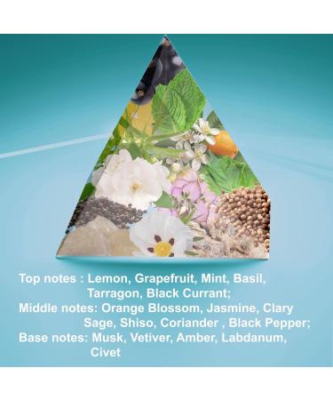 SOUL Inspired by Mandarino di Amalfi | Spray 4.0 Fl Oz / 120 ml | Unisex Perfume for Women & Men | Eau de Parfum | Long Lasting Fragrance 4 Fl Oz (Pack of 1) T. Ford Mandarino di Amalfi Impression - Buy Online on GoSupps.com