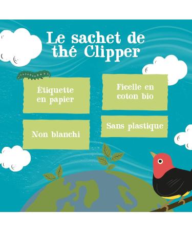 CLIPPER - Organic Green Tea - Delicious - Fair Trade - Large Size - 50 Organic Tea Bags - 1 pack - Buy Online on GoSupps.com