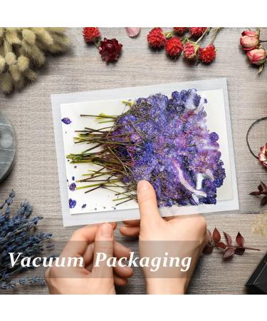 Pressed Dried Gypsophila Flowers 42PCS - Purple Babysbreath Flowers for DIY Crafts - Buy Online on GoSupps.com