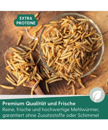 Buy 1kg Agricultural Zone Dried Mealworms - Premium Insect Snack for Birds Fish Rodents Hedgehogs & Reptiles - Protein-Rich Wild Bird Feed - Buy Online on GoSupps.com