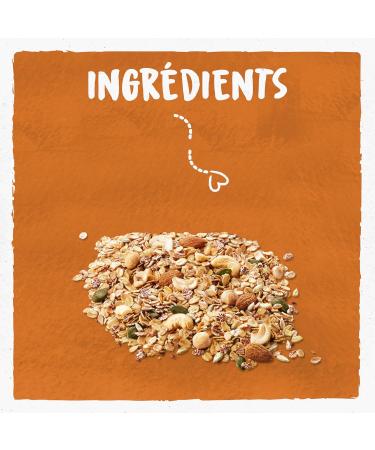 BJORG - Muesli C r ales Anciennes 3 Noix & Graines Bio - C r ales Compl tes - R duit En Sucres - 375G (Lot de 6) - Buy Online on GoSupps.com