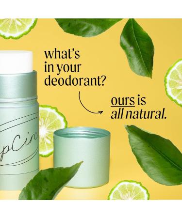 UpCircle Refill Deodorant with Macadamia & Bergamot - Natural Sensitive Skin 24-Hour Protection - Eco-Friendly Hydrating Formula - Buy Online on GoSupps.com