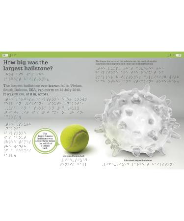 DK Braille It Can't Be True! Buy Internationally | Enhance Literacy & Enjoy Reading - Buy Online on GoSupps.com