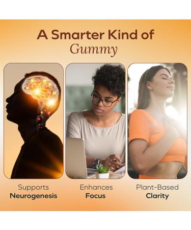 Lions Mane Mushroom Gummies for Focus and Memory - 500mg Fruiting Body Extract - Cognitive Support and Brain Health Supplements for Adults and Kids - Vegan Gluten-Free - Canyon Cooler - 30 Servings - Buy Online on GoSupps.com