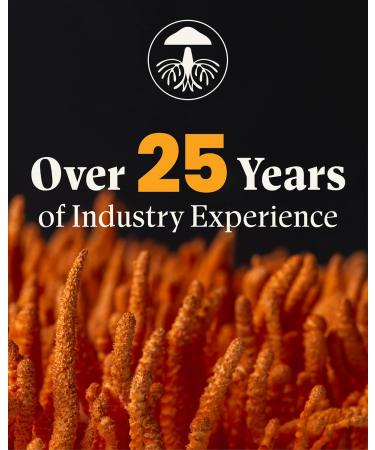 Mushroom Wellness Lion s Mane Blend with Reishi: Organic Lion's Mane & Reishi Mushroom Capsules, Mushroom Powder Supplement, Supports Cognitive Health, Memory, and Mental Focus, 90 Vegan Capsules - Buy Online on GoSupps.com