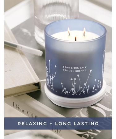 Buy White Sage Sea Salt 3 Wick Candle - 14.5 oz Soy Aromatherapy Candle for Home | Cleansing Energy Sage Scented Candle for Women & Men - Buy Online on GoSupps.com