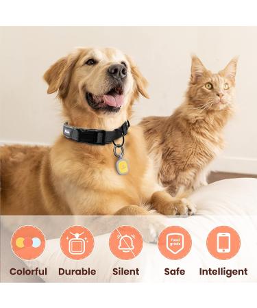 Personalized Pawaii Dog & Cat ID Tags | QR Code Address Pendant | Noiseless Silicone & Wear-Resistant Dog Tags - Buy Online on GoSupps.com