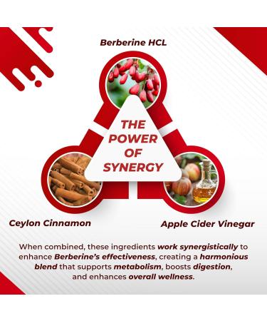 Berberine 14-in-1 Supplement with Ceylon Cinnamon Apple Cider Vinegar Turmeric Bitter Melon Holy Basil Milk Thistle Fenugreek Gymnema Banaba - Made in The USA 150 count (pack of 1) - Buy Online on GoSupps.com