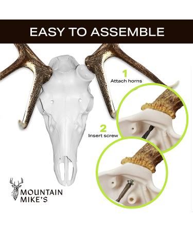 Mountain Mike's Reproductions Skull Master Universal White - Premium Deer Skull Mount - Buy Online on GoSupps.com