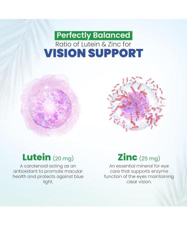 Vision Support Eye Vitamins for Macular Health | Supplements with Lutein Zinc Vitamin A & Bilberry | Areds 2 Formula for Red & Dry Eyes Sight Care (1 Bottle 60 Capsules) 60 Count (Pack of 1) - Buy Online on GoSupps.com