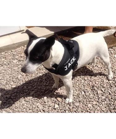 2 custom labels for julius k9 harnesses 12 x 3cm - Buy Online on GoSupps.com