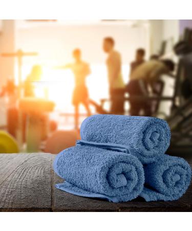 Oakias Blue Cotton Wash Cloths 24 Pack - 12x12 Inches Face Towels | Quick Drying Washcloths - Buy Online on GoSupps.com