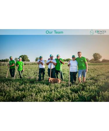 Bio Winter Beans 5ml | 100% Natural Satureja Montana | Vegan & Undiluted | Bio-Certified Quality | Family Business | No Genetic Engineering - Buy Online on GoSupps.com