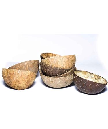 Sri Care Natural Coconut Shell Bowl Halves for Handicraft, Pet Feeder, Candle Making, Christmas & Halloween Decor - 1 Piece (No Fiber) - Buy Online on GoSupps.com