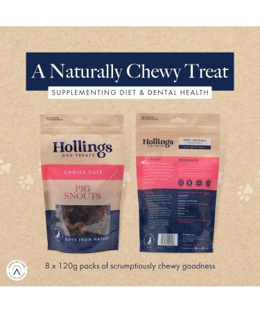 Hollings Pig Snouts Dog Treats 100% Natural Air Dried Crunchy Chews for Adult Dogs Grain Free & High in Protein 120g (Pack of 8) 120 g (Pack of 8) - Buy Online on GoSupps.com