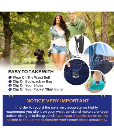 PINGKO Portable LCD Pedometer for Jogging, Hiking, Running & Walking - Blue | Step Counter with Calorie Burn Tracker - Buy Online on GoSupps.com