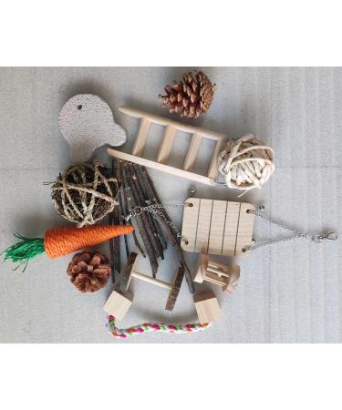 ACLUYSKA 21PCS Hamster Guinea Pig Toys | Small Animal Activity Chew Accessories | Apple Wood Ladder Bell Roller | Teeth Care for Dwarf Hamsters, Rats, Chinchillas, Gerbils, Bunnies - Buy Online on GoSupps.com