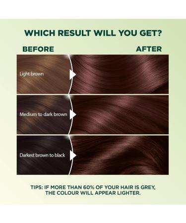 Garnier Nutrisse Ultra Cr me Permanent Hair Dye 100% Grey Coverage Vegan Formula Nourished Hair Long-Lasting Rich Colour 45 Dark Mahogany Brown 1 Application Packaging May Vary BROWN SHADES 45 Dark Mahogany Brown - Buy Online on GoSupps.com