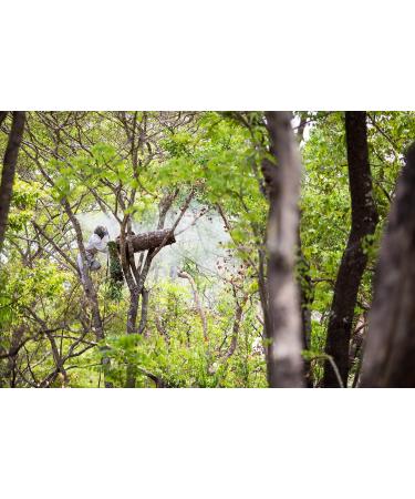 Case of Beeswax Lip Balm by ZAMBEEZI - Suncare 24-Tube Carton - Crafted with USDA Organic Fair Trade Lip Refreshing Ingredients from Zambia Africa - Buy Online on GoSupps.com